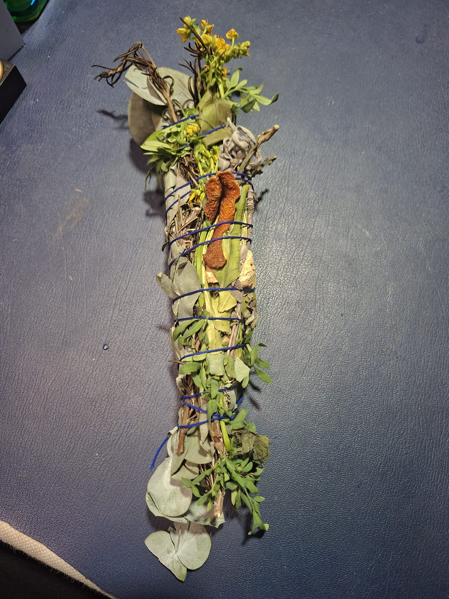 7 plantas